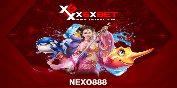 Nexo888