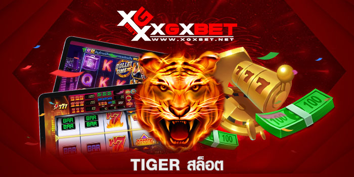 tiger-สล็อต